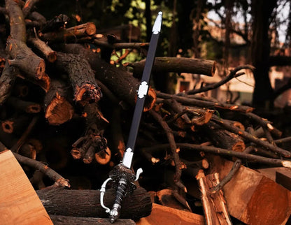 Legend Of Zoro Sword